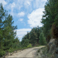 Συντήρηση του δασικού οδικού δικτύου των δασικών περιοχών της Ρόδου